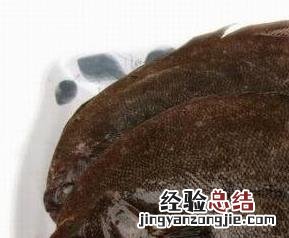 左口鱼的营养价值 左口鱼的营养价值及功效坏次