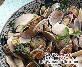 花蛤壳的功效与作用