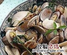花蛤壳的功效与作用