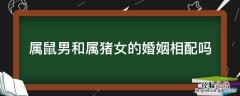 属猪男和属鼠女婚姻相配吗属相最配 属鼠男和属猪女的婚姻相配吗