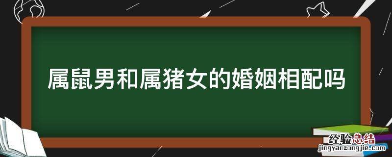 属猪男和属鼠女婚姻相配吗属相最配 属鼠男和属猪女的婚姻相配吗