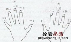 钢琴初学指法怎么练 钢琴入门指法怎么练