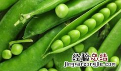 花菜的营养价值 豌豆的营养价值