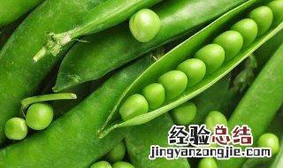 花菜的营养价值 豌豆的营养价值