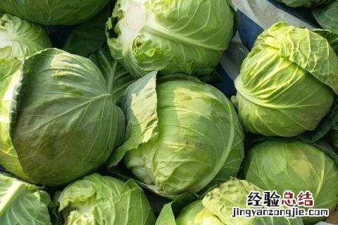 北方6月份种植什么蔬菜 北方6月份种植什么农作物