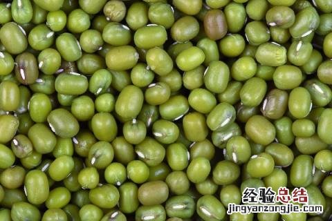 北方6月份种植什么蔬菜 北方6月份种植什么农作物