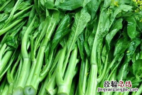 7月份适合种植什么农作物 七月中旬适合种植什么农作物