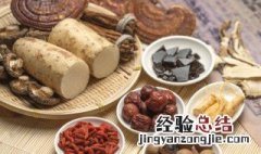 琉璃草的功效与作用 琉璃草图片