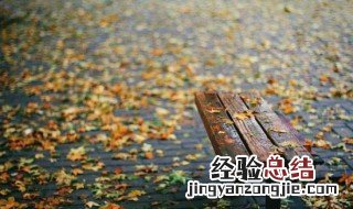 描写秋雨的句子50字 描写秋雨的句子