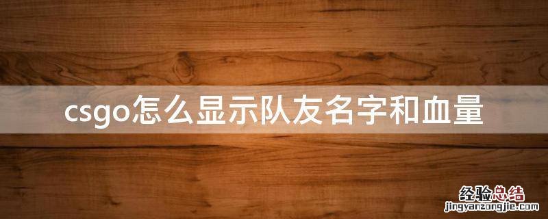 csgo怎么显示对方掉的血量 csgo怎么显示队友名字和血量