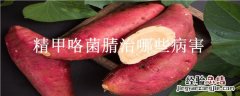 精甲咯菌腈的用途 精甲咯菌腈治哪些病害