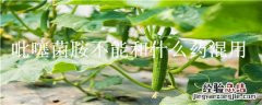 吡噻菌胺不能和什么药混用 吡噻菌胺混用禁忌