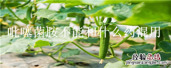 吡噻菌胺不能和什么药混用 吡噻菌胺混用禁忌