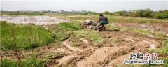 北大荒土地面积 北大荒耕地面积有多大