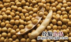 黄豆可以放微波炉加热吗 生黄豆可以在微波炉里加热吗