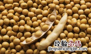 黄豆可以放微波炉加热吗 生黄豆可以在微波炉里加热吗