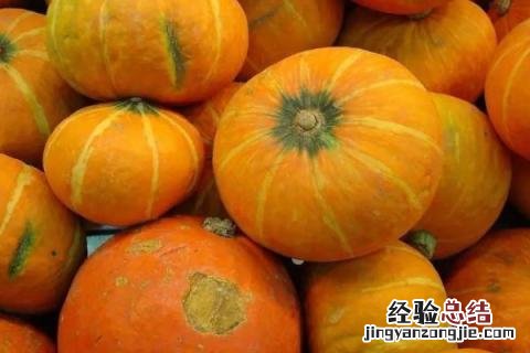 7-8月适合种什么蔬菜 7,8月份适合种植什么蔬菜?