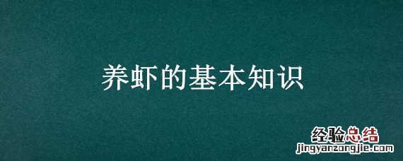 养虾的基本知识视频 养虾的基本知识