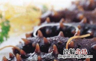 辽参的营养价值与功效 辽参的营养价值和功效