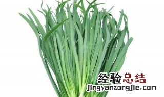 韭菜的热量 韭菜的功效介绍