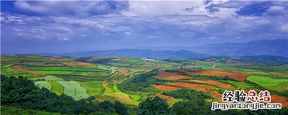 种植土检测项目有哪些 种植土需要做什么检测