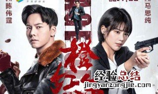 叶望龙刘子光是什么电视剧 扮演者是谁