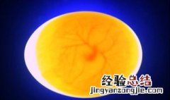 卵枝怎么孵化 卵枝怎么孵化小鸡