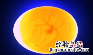 卵枝怎么孵化 卵枝怎么孵化小鸡