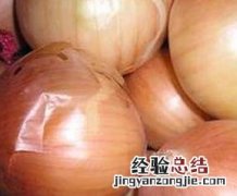 紫元葱和黄元葱营养价值有何不同呢 紫元葱和黄元葱营养价值有何不同