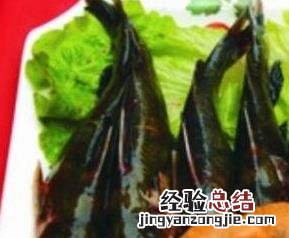 昂丁鱼的营养价值 昂丁鱼的营养与功效