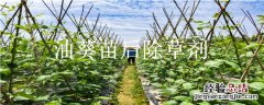 油葵苗后除草剂 油葵苗后阔叶除草剂