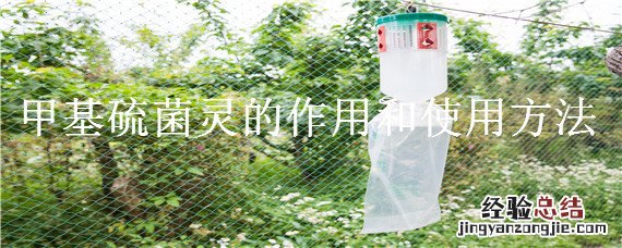 70%甲基硫菌灵的作用和使用方法 甲基硫菌灵的作用和使用方法
