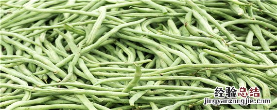 豆角如何掐尖打顶 豆角需要打顶摘心吗