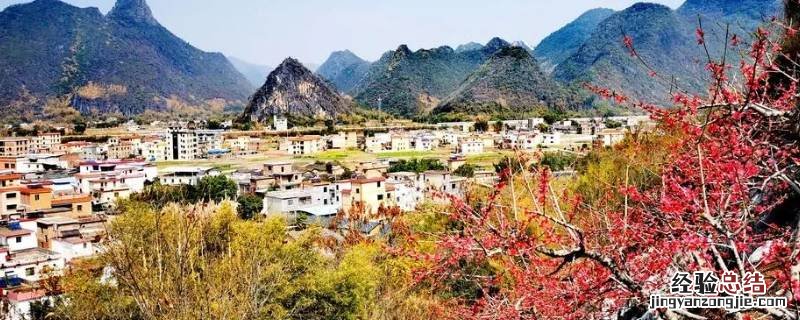 连平服务区属于哪个省份 连平服务区属于哪个省