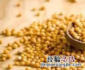 黑芥菜籽的功效与作用 白芥菜籽的功效与作用
