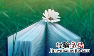 零敲碎打的意思 零敲碎打的解释