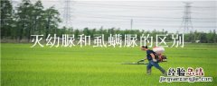 灭幼脲与虱螨脲的区别 灭幼脲和虱螨脲的区别