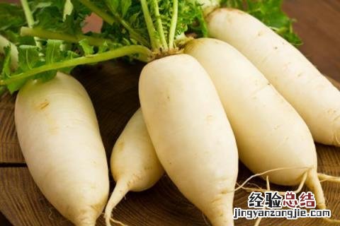 八月中旬种植什么蔬菜 8月初种植什么蔬菜