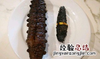 怎样泡发海参 海参怎么泡发