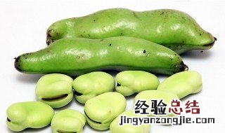 蚕豆的营养价值及功效与作用禁忌 蚕豆的营养价值