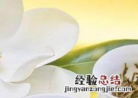 月经喝茶叶茶的好处和坏处 喝茶叶茶的好处和坏处