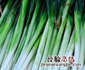 做菜放葱的作用和用法 做什么菜放葱
