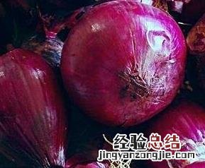 紫圆葱有什么营养 紫圆葱的营养价值