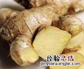吃生姜的功效与作用 晚上吃生姜的功效与作用