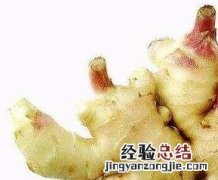 常吃生姜的坏处 吃生姜的好处与坏处及注意的问题