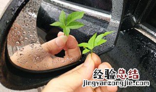 防雨贴膜有用吗 防雨贴膜怎么贴