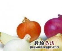 白洋葱和紫洋葱的营养价值 紫洋葱和白洋葱哪个营养价值高