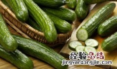 黄瓜冷库能储存多久 黄瓜怎样长期储存冷库