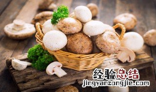 小个香菇炒的方法 如何炒小香菇
