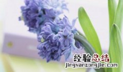 发朋友圈的文案小清新 发朋友圈的文案小清新可爱